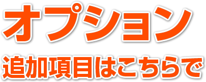 オプション：追加項目はこちらで